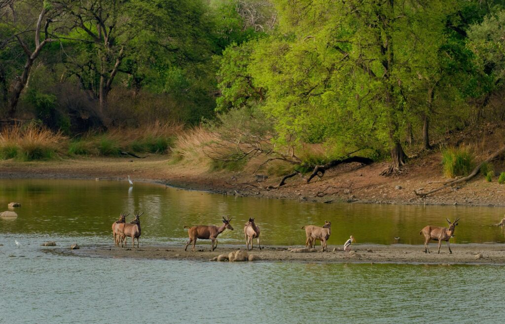  Sundarban Tourist spots